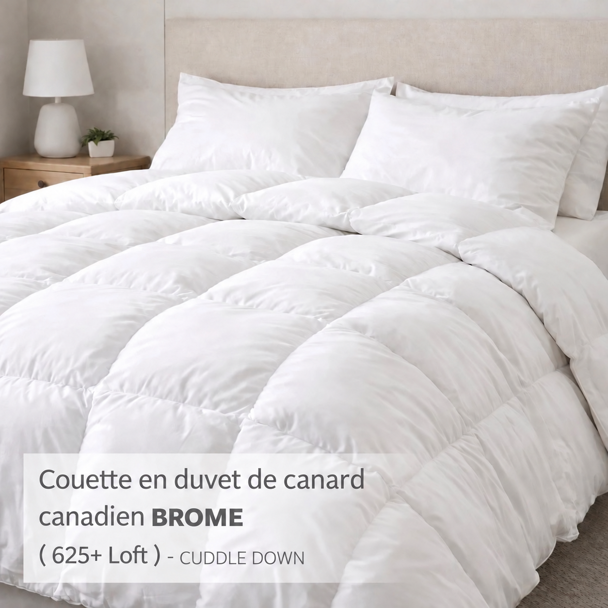 Couette en duvet de canard canadien BROME ( 625+ Loft )- CUDDLE DOWN - Couettes Cuddle Down - Literie-Déco et moi 
