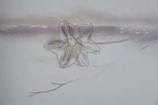 (Fait au Québec) Housse de couette MIA ( Ensemble 4 pièces ) - Literie - Déco et moi