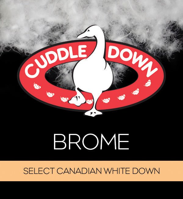 Couette en duvet de canard blanc BROME ( Cuddle Down) - Literie - Déco et moi
