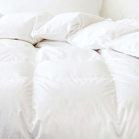 Couette en duvet de canard huttérite canadien CHINOOK ( 700+ Loft ) Couettes  ,disponible chez Literie-Déco et moi 