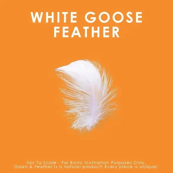 Couette en plumes d'oie blanche - Literie - Déco et moi